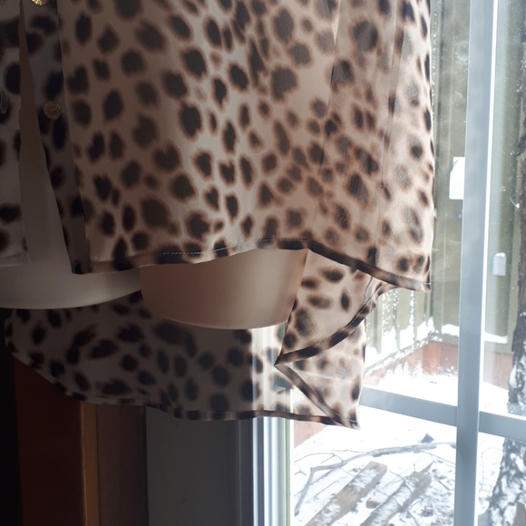 Chiffon Sleevless Blouse - Picture 3 of 3